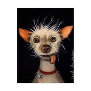 TRADEMARK FINE ART Leah Saulnier 'Ugly Dog' Canvas Art, 35x47 ALI42194-C3547GG